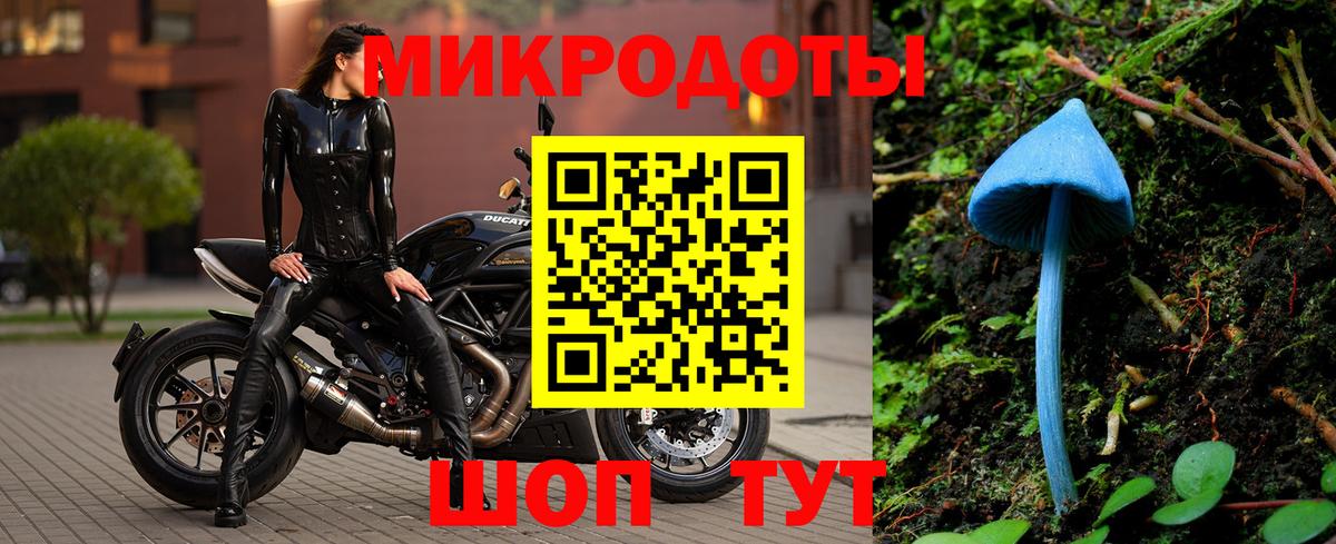 Галлюциногенные грибы мухоморы Елабуга