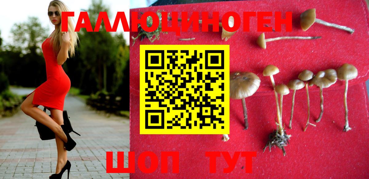 Галлюциногенные грибы Psilocybine cubensis  Галлюциногенные грибы MAGIC MUSHROOMS  Елабуга  купить наркотики цена  Вход с VPN 